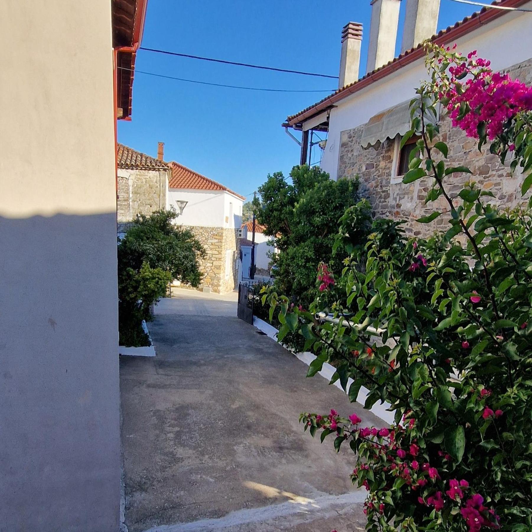 Nikolaos House Appartement Agios Nikolaos  Buitenkant foto