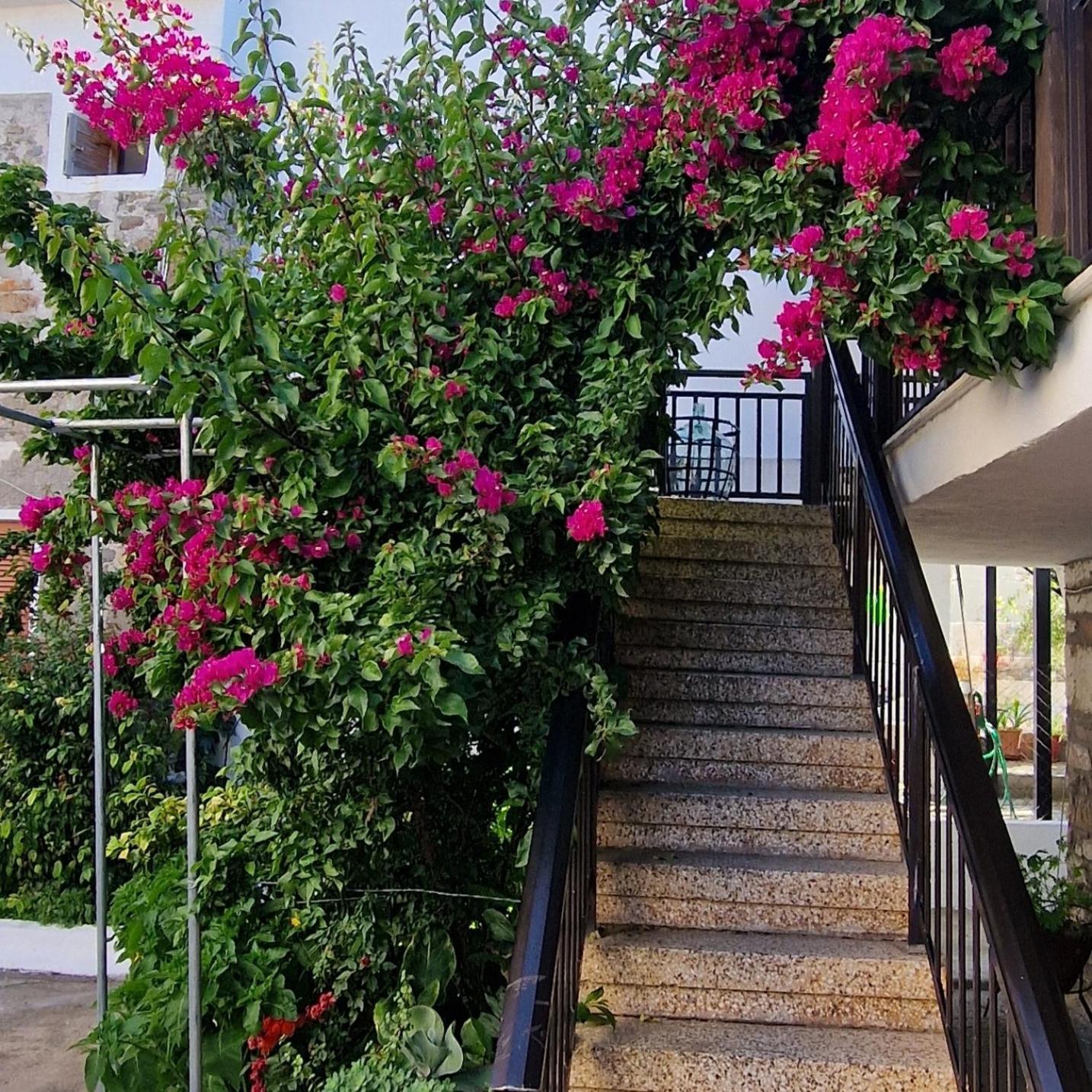 Nikolaos House Appartement Agios Nikolaos  Buitenkant foto
